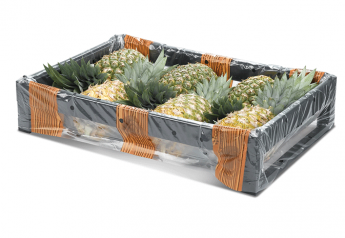 EcoPack adds pineapple crate to lineup