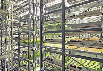 Indoor leafy greens growers: Keep us outside FDA warnings