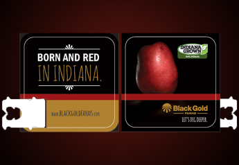 Get ready for Indiana red potatoes