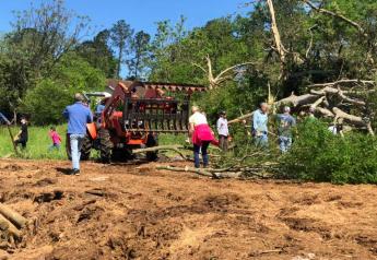 Texas Dairy Picking Up the Pieces After Tornado Devastates Farm