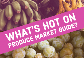 Yellow plums threaten figs' dominance on Produce Market Guide