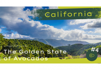 West Pak features California fruit in latest Avo Effect video