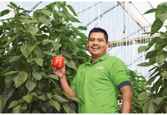 Positive outlook for Mexican crops, growers say 