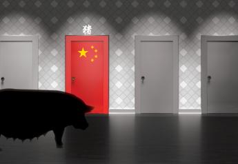 China's Changing Pork Needs: It's Time to Differentiate