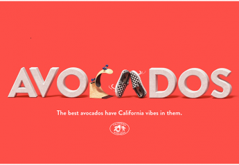 Avocado commission’s ad campaign focuses on California 