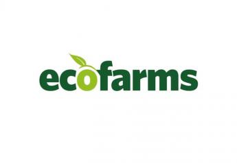 Eco Farms doubles avocado bagging capacity