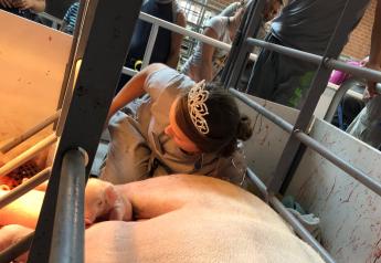 Crowning Achievement: Iowa Pork Queen Talks Viral Piglet Rescue
