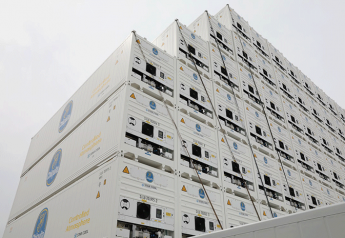 Chiquita invests in special containers for shipping bananas
