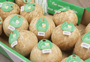 Italian Produce imports Vietnamese drinking coconuts