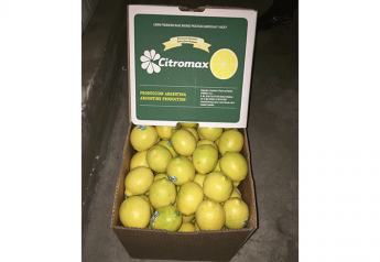 Vision Import Group offers Argentine lemons