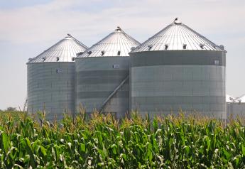 WASDE: Corn Ending Stocks Jump, Soybeans Drop