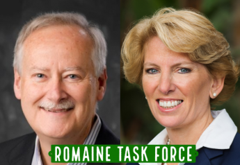 Romaine Task Force: Final report and recommendations