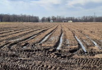 Get a Head Start on the Long Road to Repairing Ruts, Gullies