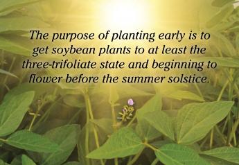 Tips for Planting Soybeans Earlier
