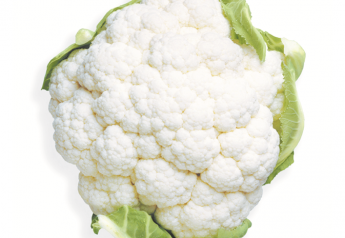Farm named by FDA in E. coli outbreak recalls vegetables