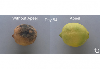 UPDATED: Apeel offers longer shelf life for citrus