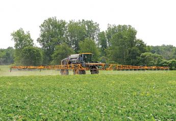 Disease Outlook 2020: Some New, Some Old Threats to Corn and Soybeans