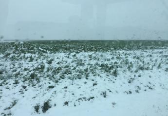 Late-April snow blanketed this Kansas wheat field ... and a lot others.