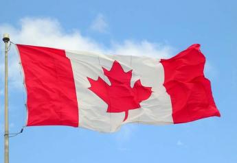 Canada_flag_halifax_9_-04