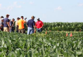 CornCollege2013 soybean field
