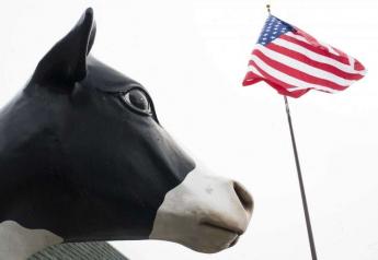 Cow Statue American Flag