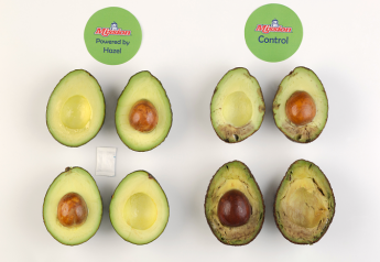 Mission Produce rolls out Hazel Tech avocado program