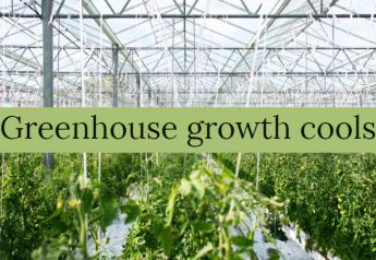 Greenhouse growth cools