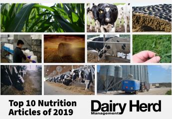 Top 10 Nutrition Articles of 2019