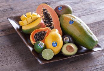 Tropical Fruit Marketing business updates