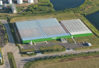 BrightFarms' recent expansion at its Rochelle, Ill., facility allows the company to expand distribution at Chicago-area retail stories.