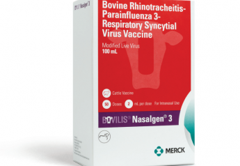 Merck Animal Health this week launched Nasalgen 3, a three-way intranasal vaccine that protects beef and dairy cattle from the most common pneumonia-causing viral pathogens. 

