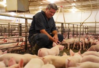 ICYMI: Hog Producers Weigh In on Market Challenges