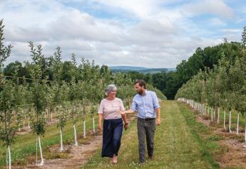 Brenda Briggs, vice president of sales and marketing for Rice Fruit Co., and Ben Rice, president, check on some of the company’s apple trees.