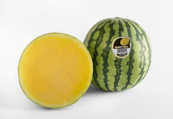 Dulcinea Farms announces new PLU for yellow mini seedless watermelons