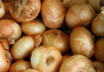 Potandon to import Peruvian onions