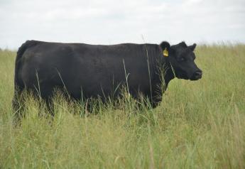 Range and pasture rated in either good or excellent condition as of July 7 stood at 69%, according to the USDA's National Agricultural Statistical Service (NASS)