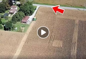 Criminal In A Cornfield: Manhunt Ended With A Combine and Drone Chase