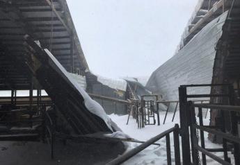 A stock photo of a barn collapse following a snow storm. 