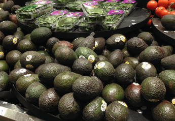 Avocados a top seller at retail