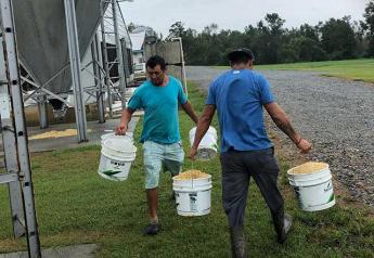 Delivering feed by the bucketful in Sampson County, North Carolina.