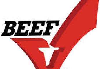 State Beef Councils And NCBA Greatly Expand Digital Advertising
