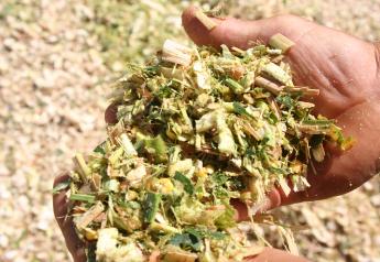 Take a Better Silage Sample with These 5 Tips