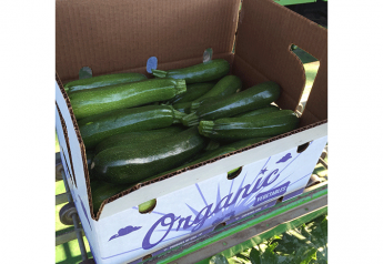 L&M has increased its acreage of organic vegetables in Florida, including zucchini.