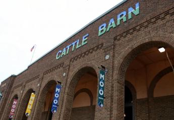 Heavy Snow Causes Cattle Barn to Collapse at Minnesota State Fair
