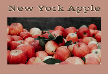 New York Apple celebrates awards