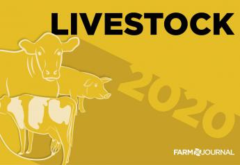 2020 Livestock Market Outlook Roundup