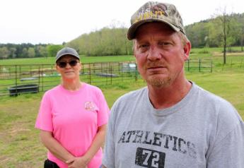 Wild Pig Wars: Controversy Over Hunting, Trapping in Missouri