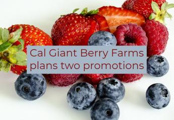 California Giant Berry Farms plans two promotions