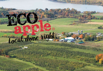 Eco Apple sustainability program adds orchards