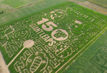 USA Today Hosts Top Corn Maze Contest